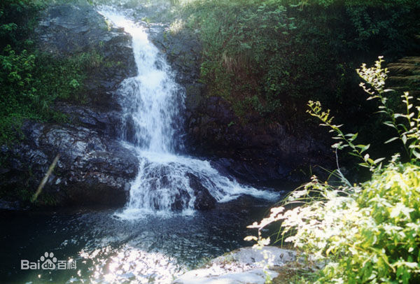 九华山风景-九子泉声