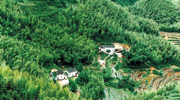 九华山风景-闵园竹海