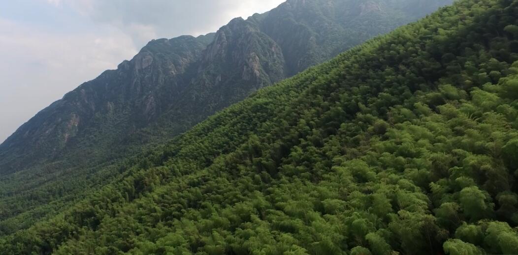 九华山圆通寺风景